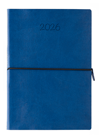 Visual Diary 2025