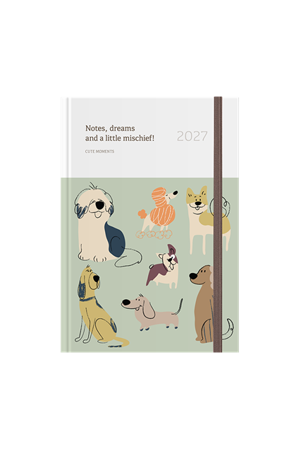 Εικόνα της Pattern_B